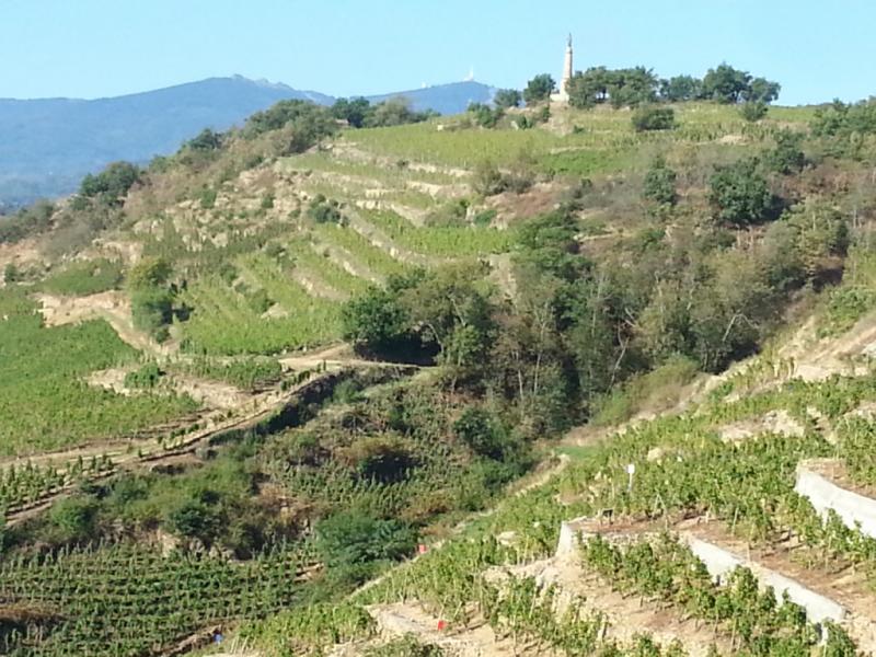 Chavanay - La madone et le vignoble